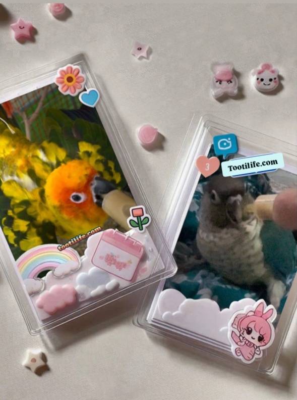 img 20251123 052243 009