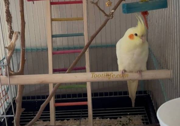 img 20251121 174553 077