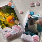 img 20251123 052243 009